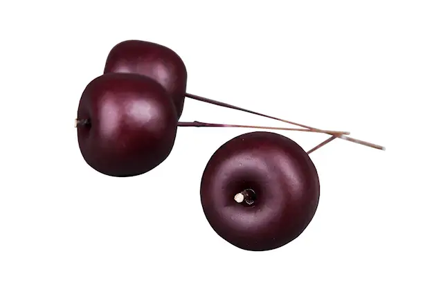 Omena viininpunainen rautalanka