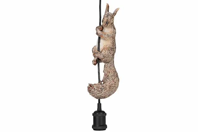 Kattovalaisin orava riippuva