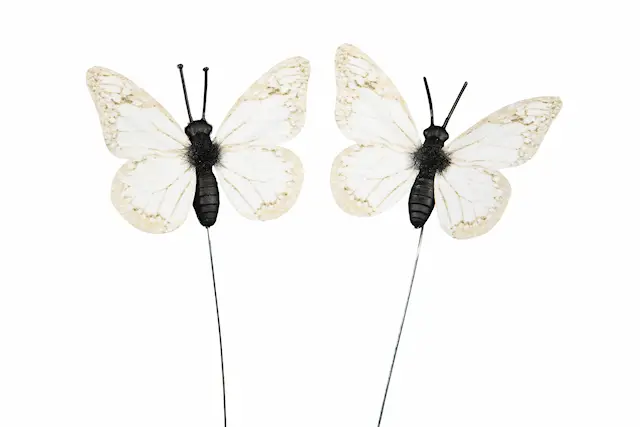 Stick Butterfly White