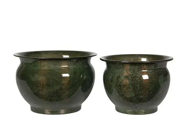 Pot Leona Kale
