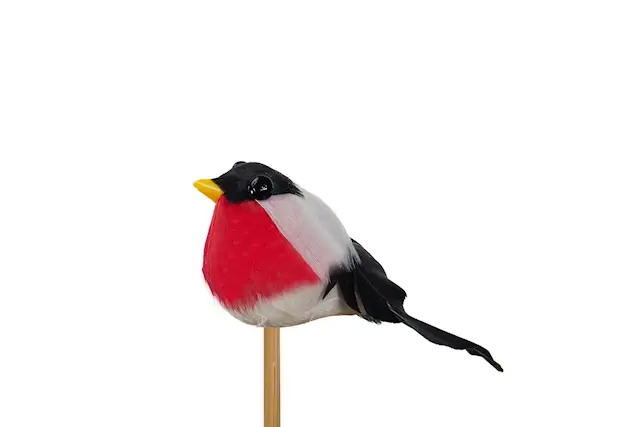 Tikku punatulkku