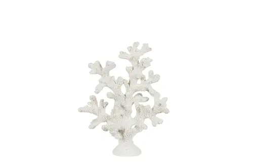 Coral Poly White