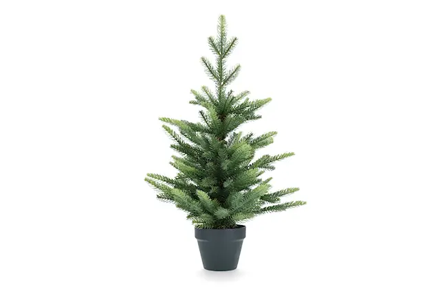 Konstväxt Gran i Kruka