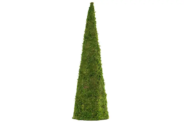 Mosskon