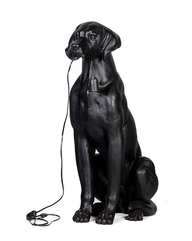 Lattiavalaisin Dog XL