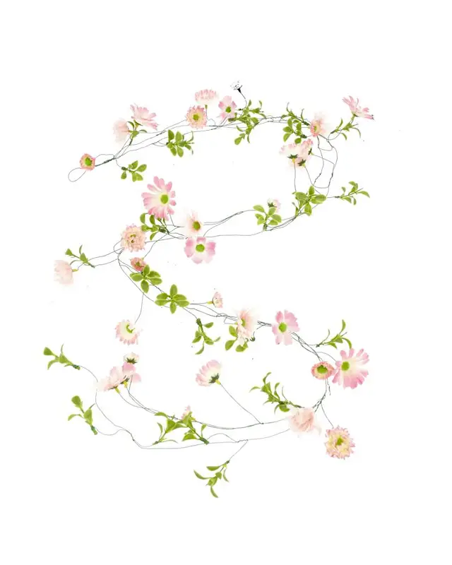 Köynnös Floria