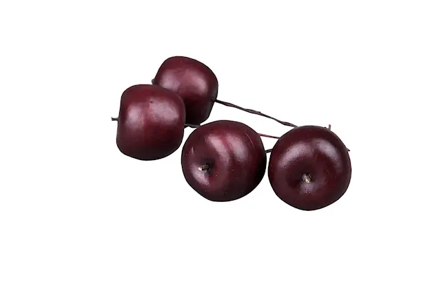 Omena viininpunainen rautalanka