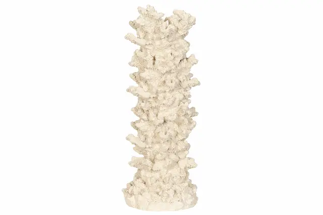 Kynttilänjalka Coral Poly