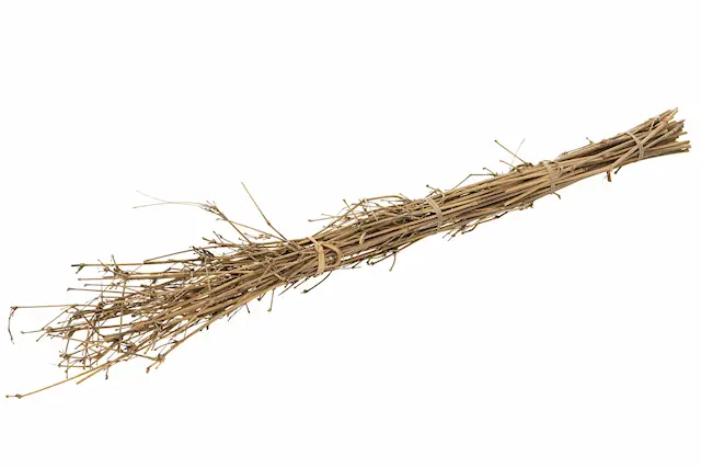 Bamboo Branch Nature