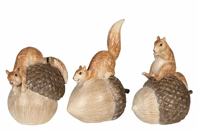 Acorn Squirrel Mix