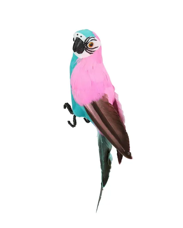 Dekoration Papegoja
