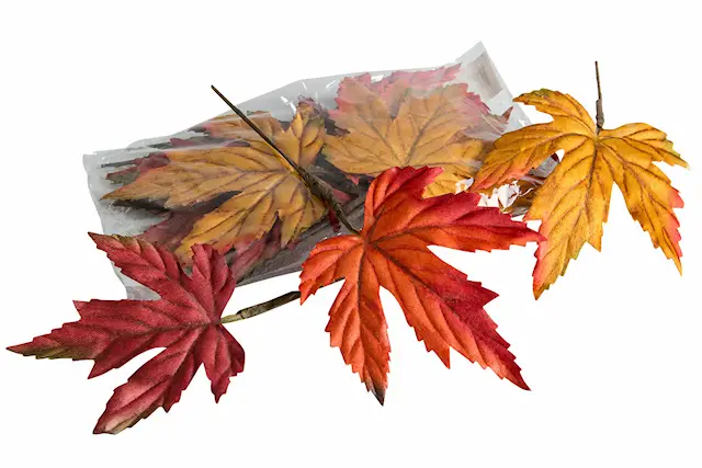 Autumn Leaves Mix Large