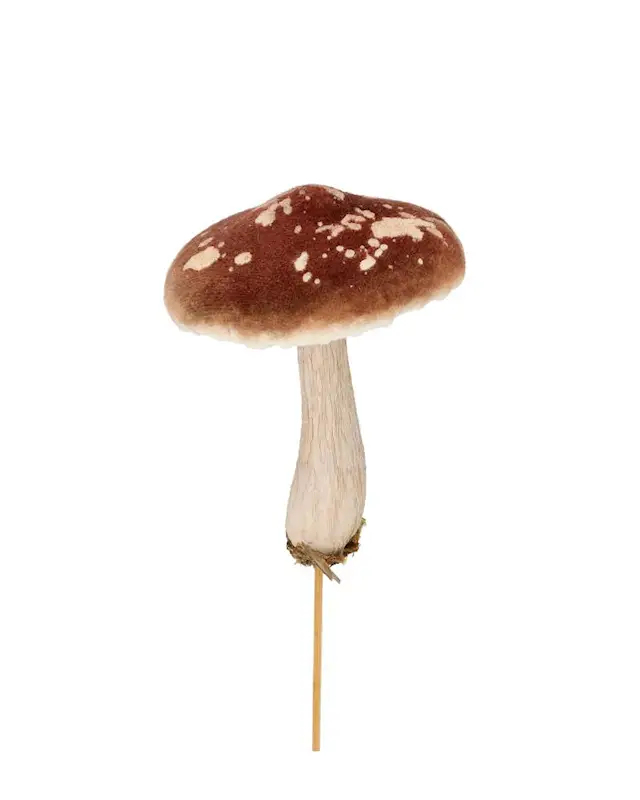 Tikkusieni