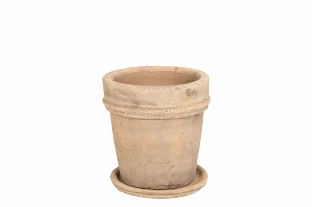 Kruka Utomhus Med Fat Fortuna