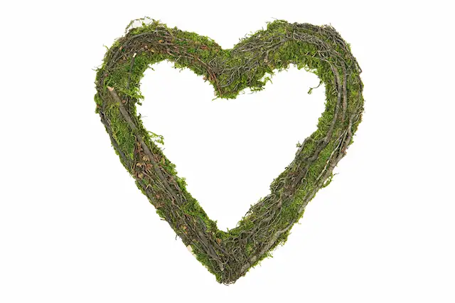 Sammalsydän Oksilla