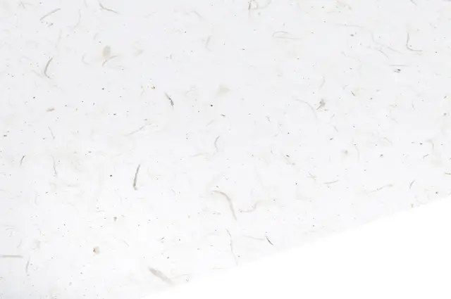 Waxed Tissue Paper White