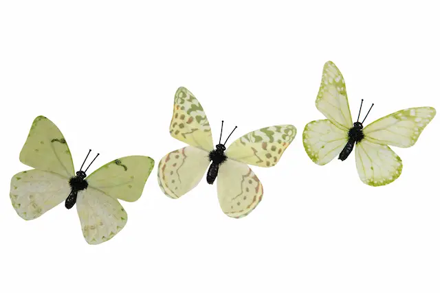 Clip Butterfly Green Mix
