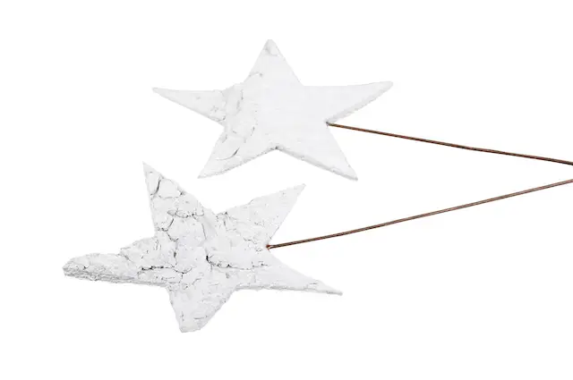 Koivun tuohi Tähtitikku Valkoinen