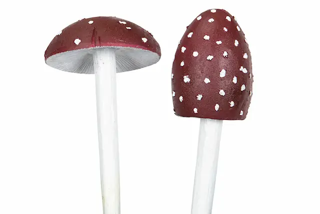 Toadstool Mix