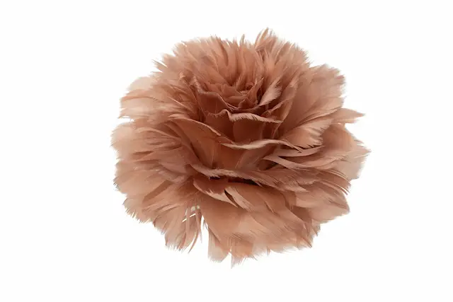 Fjäderblomma Med Clip Mullvad