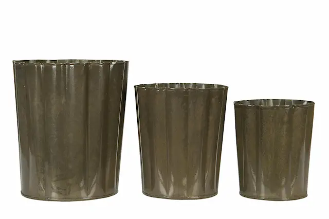 Pot Frilly Olive