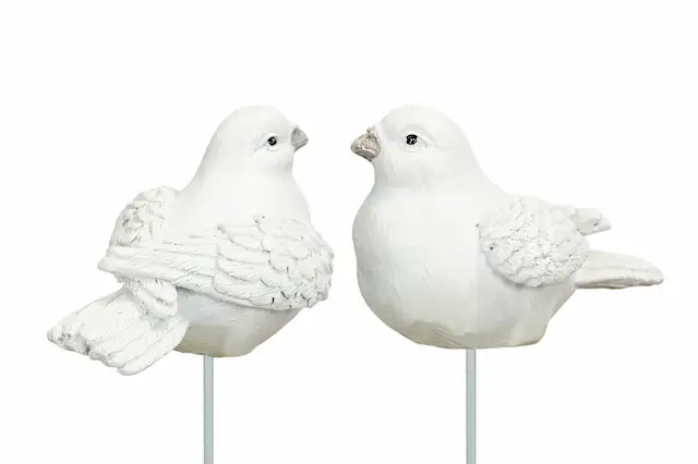 Stick Dove