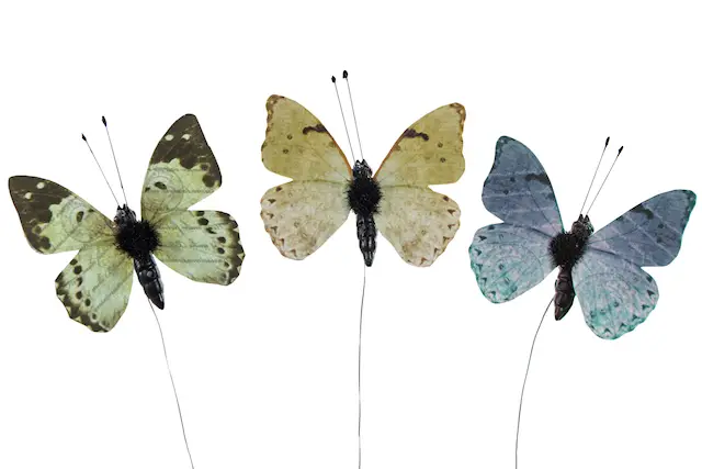 Stick Butterfly Disa Light Green Mix