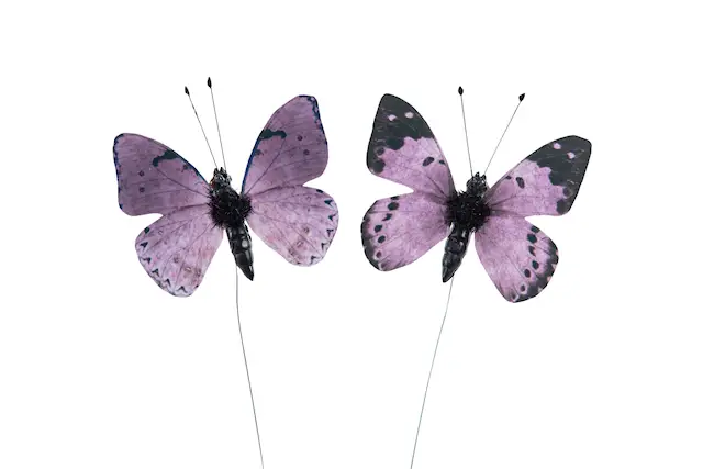 Stick Butterfly Gredelin Mix