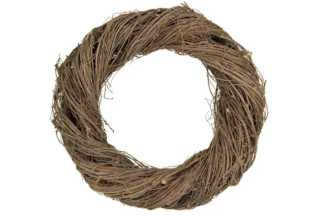 Krans Lärk Kottar Natur