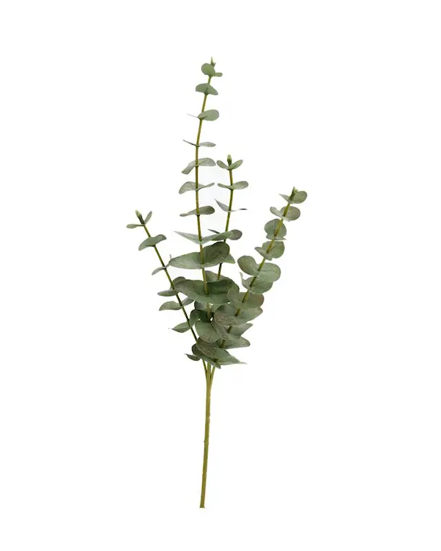 Keinotekoinen kasvi Eukalyptus