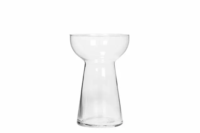 Vase Hyacinth Judith Transparent