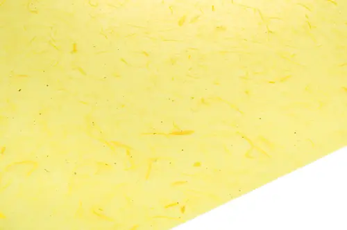 Vaxed Tissue paper Yellow